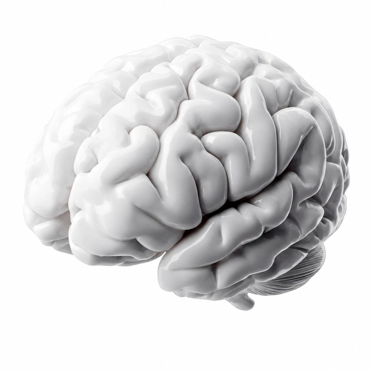 Sculptural white brain, a study in the complexity of human connection